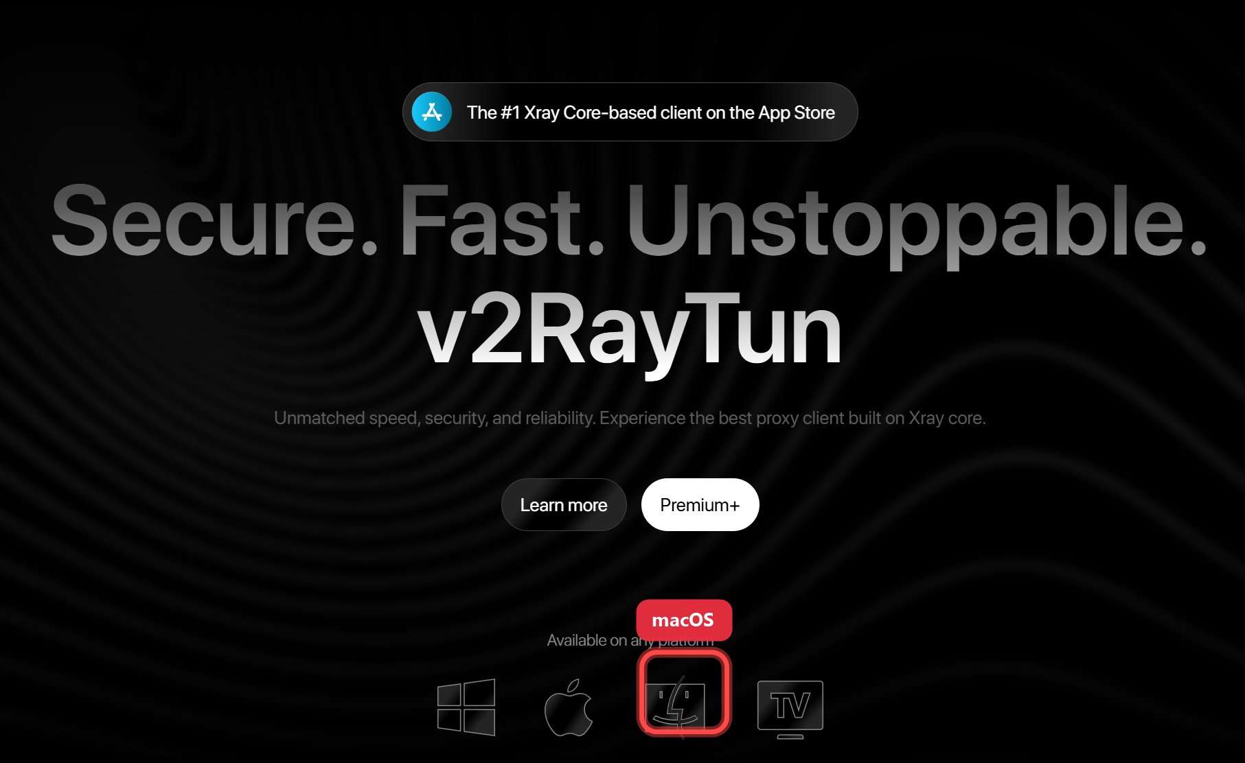 Сайт v2RayTun с выделенной иконкой macOS